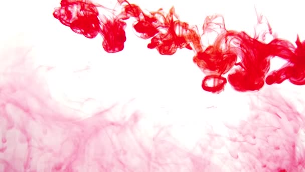 Κόκκινη Μπογιά Στο Νερό Μελάνι Υγρό Αφηρημένες Κινήσεις Πολύχρωμες Πιτσιλιές — Αρχείο Βίντεο