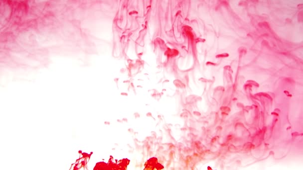 Czerwona Farba Abstrakcyjnym Tle Wody Atrament Płynie Kolorowe Plamy Płynie — Wideo stockowe