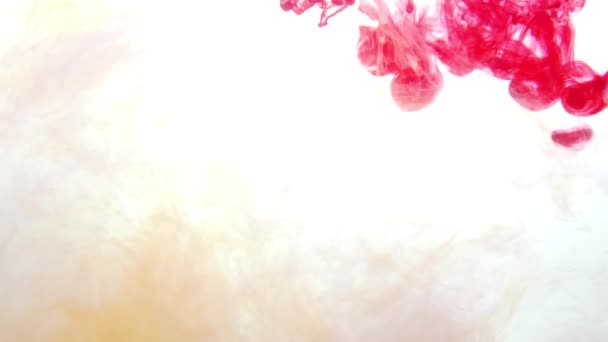 Червона Фарба Воді Чорнило Рідині Абстрактні Рухи Барвисті Бризки Рідині — стокове відео