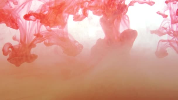 Czerwona Farba Wodzie Atrament Płynie Abstrakcyjne Ruchy Kolorowe Plamy Płynie — Wideo stockowe