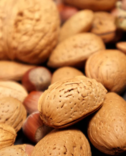 Almond Nuts Hazelnut Background Almond Shell Selective Focus — Photo