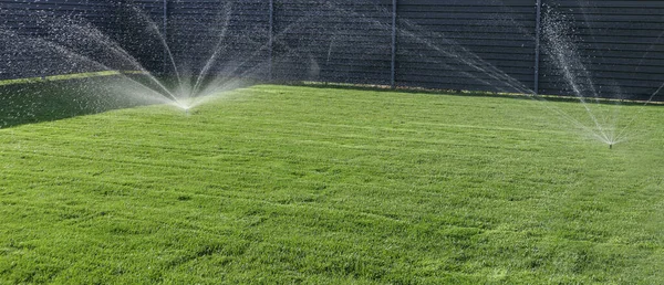 花园灌溉系统浇灌草坪 自动草坪洒水绿草 — 图库照片