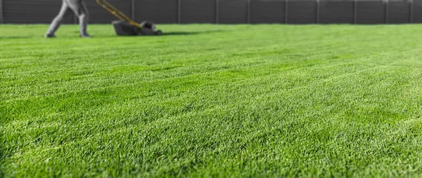 Spring season sunny lawn mowing in the garden. Lawn blur with soft light for background. — Stock Photo, Image