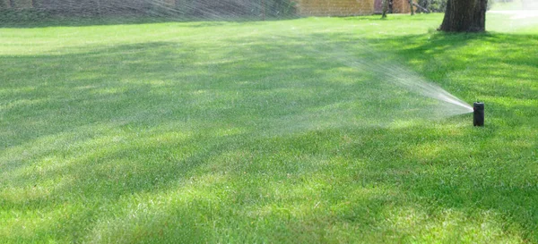 Jardín sistema de riego césped. Aspersor de césped automático riego hierba verde. Enfoque selectivo. — Foto de Stock