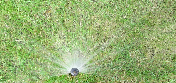 庭灌漑システムの芝生。緑の草に散水自動芝生スプリンクラー。選択的焦点. — ストック写真