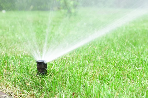 Garden irrigation system lawn. Automatic lawn sprinkler watering green grass. Selective focus. Stock Picture