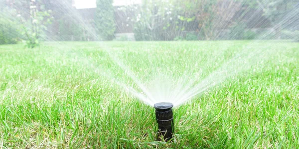 Trädgårdsbevattningssystem Vattnar Gräsmattan Automatisk Gräsmatta Sprinkler Vattning Grönt Gräs Selektiv — Stockfoto