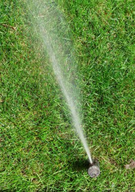 Garden irrigation system watering lawn. Automatic lawn sprinkler watering green grass. Selective focus
