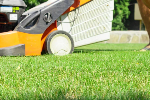 Man mowing the lawn with lawn mower in summer. Spring season sunny lawn mowing in the garden