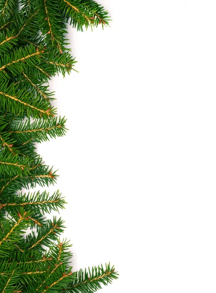 Christmas Tree Concept Layout Made Christmas Tree Branches Copy Space Stock Picture