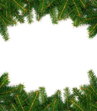 Noel ağacı konsepti. Kopya alanı olan Noel ağacı dallarından yapılmış bir düzen. Düz yatıyordu. Yeni yıl konsepti.