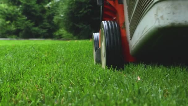 Man Mowing Lawn Lawn Mower Summer Turf Grass Garden Man — Vídeos de Stock