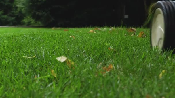 여름에 잔디깎는 잔디깎는 초원에서 잔디깎는 기계를 사용하는 과푸른 잔디를 — 비디오
