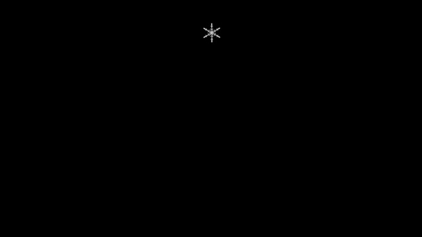 暗い背景に雪の結晶を凍結し 孤立したクリスマスツリーを形成します 背景やテキストメッセージのためのアニメーション要素メリークリスマスとハッピーニューイヤー 4Kアニメーション — ストック動画