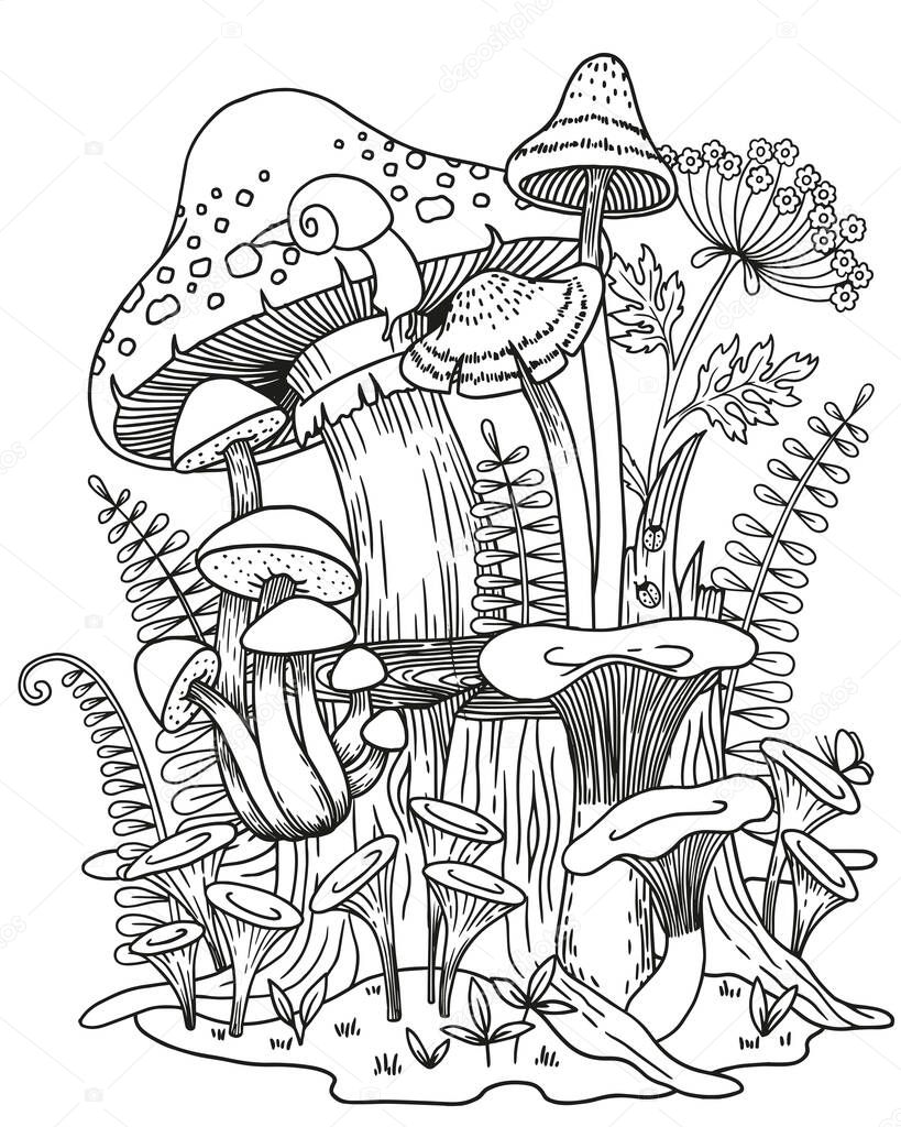 Difers mushrooms grow on the stump and around next to wild flowers. Vector coloring page