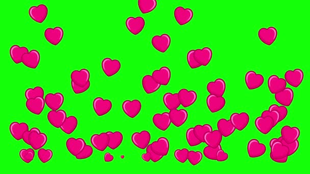 Geanimeerde Valentijnsdag Achtergrond Pink Red Animated Hartjes Groen Scherm Veel — Stockvideo