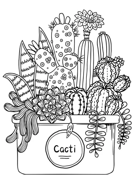 Vetores de Cactos E Plantas Suculentas Em Vasos Desenho De Vetor Preto E  Branco Para Colorir e mais imagens de Arte Linear - iStock