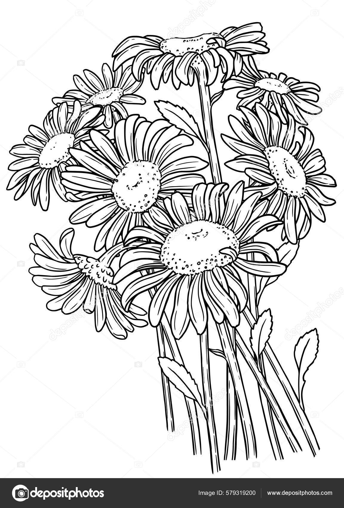 Desenho Para Colorir Para Adulto Buquê Flores Prado Contorno