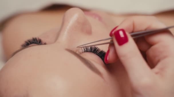 Procedura di estensione delle ciglia. Occhio di donna con ciglia lunghe. Focus ravvicinato e selettivo. — Video Stock