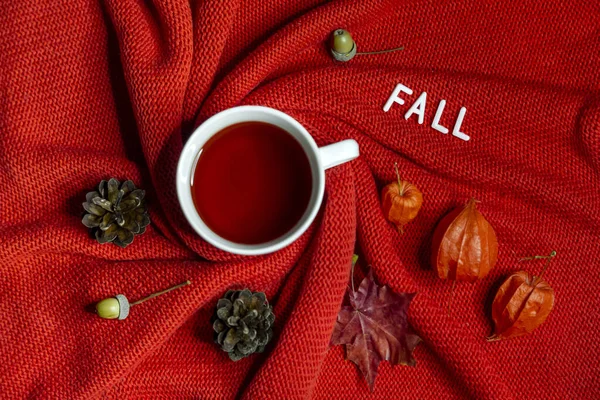 Bir fincan çay, filsalis, köknar kozalakları, akçaağaç yaprakları ve meşe palamudu ile çevrili. Renkli sonbahar üst görünümü maketi.