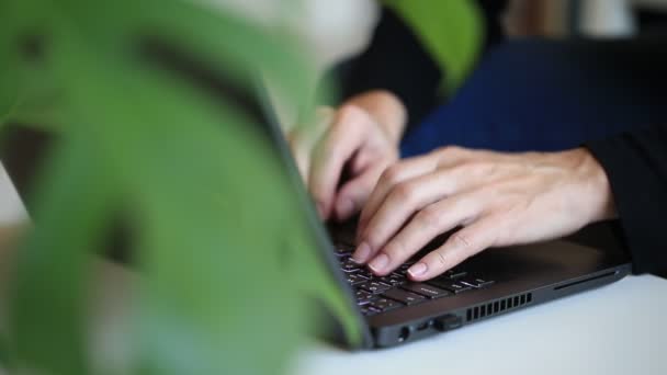 Концепція фрілансера, що працює з дому. Жінка друкує на ноутбуці, руки у фокусі . — стокове відео