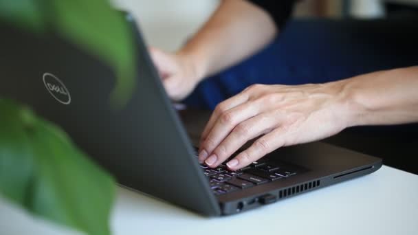 Αμπού Ντάμπι, Ηνωμένα Αραβικά Εμιράτα - 19 Δεκεμβρίου 2021: Γυναίκα πληκτρολογώντας στο laptop της DELL. Τα χέρια στο επίκεντρο. Έννοια του ελεύθερου επαγγελματία που εργάζεται από το σπίτι. — Αρχείο Βίντεο