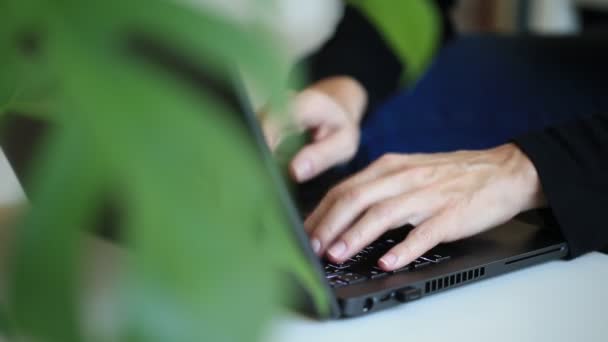 自由职业者在家里工作的概念。妇女在笔记本电脑上打字，手拉手对焦. — 图库视频影像