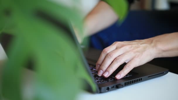 Έννοια του ελεύθερου επαγγελματία που εργάζεται από το σπίτι. Γυναίκα πληκτρολογώντας στο laptop, τα χέρια στο επίκεντρο. — Αρχείο Βίντεο