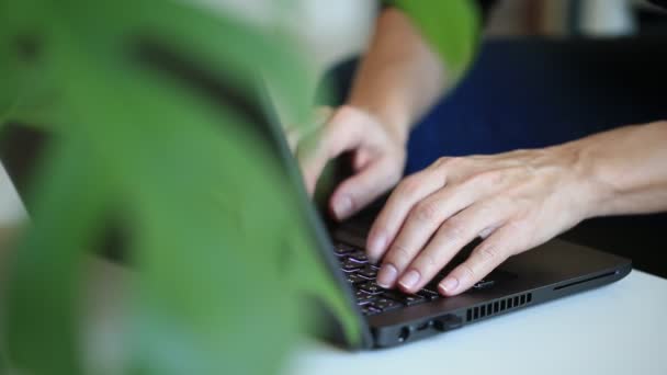 Evden çalışan serbest çalışan biri kavramı. Dizüstü bilgisayarda yazan kadın, elleri odaklı.. — Stok video