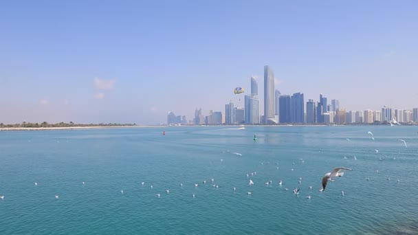 Abu Dhabi cityscape during sunny day with seagulls flying around, view from seaside — Stock Video