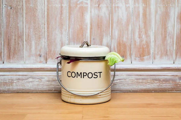 Food Waste Domestic Kitchen Eco Friendly Disposal Composting Wasted Food — Stock Photo, Image