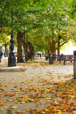 Sonbahar yaprakları güneşli bir günde şehir merkezindeki kaldırıma düşer.