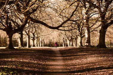 Kırmızı ceketli bir kadın parktaki ya da ormandaki ağaçların arasında tek başına yürüyor.
