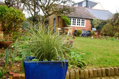 Arka bahçesinde ya da bahçesinde saksı bitkileri ve çiçek tarlaları var.