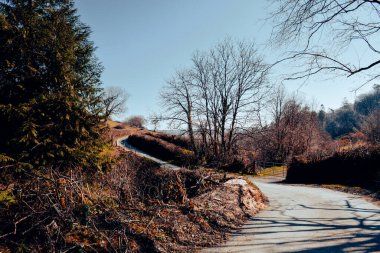 Kırsal bölgede tek şeritli bir yol var.