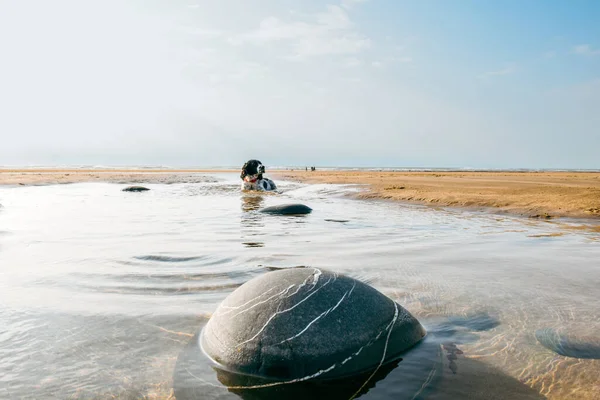 Ένα Νεαρό Σκυλί Παίζει Πισίνες Νερό Στην Παραλία — Φωτογραφία Αρχείου