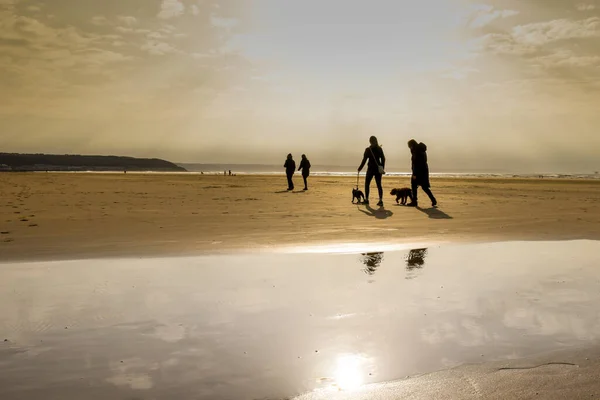 Menschen Gehen Mit Ihren Hunden Strand Meer Spazieren — Stockfoto