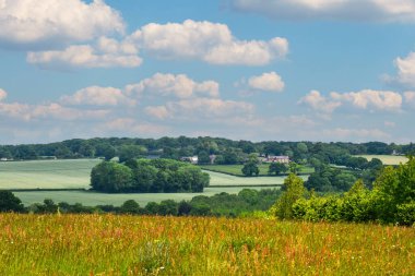 Güneşli bir kırsal alanın ufuk çizgisindeki küçük köy manzarası yükseldi.