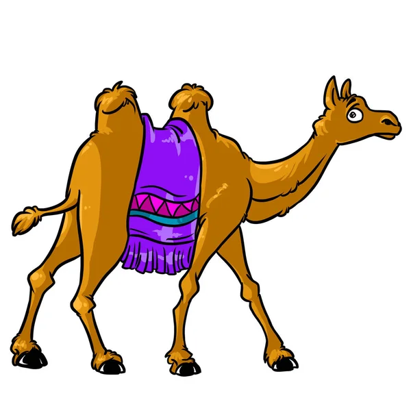 Camel Bruin Dier Karakter Cartoon Geïsoleerd Beeld — Stockfoto