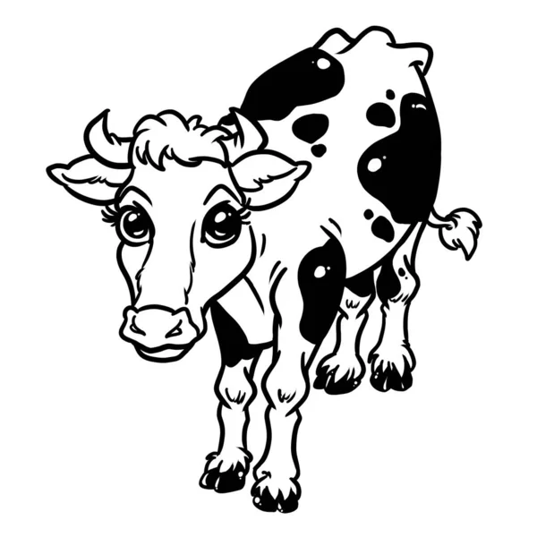 Parodie Vache Regard Grands Yeux Contour Illustration Coloriage Stands Regarder — Photo