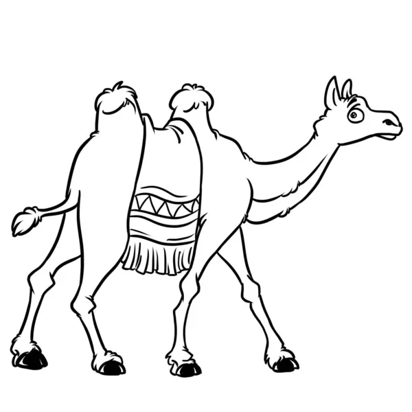 Camel Personnage Animal Dessin Animé Image Isolée Illustration Coloriage Dessin — Photo