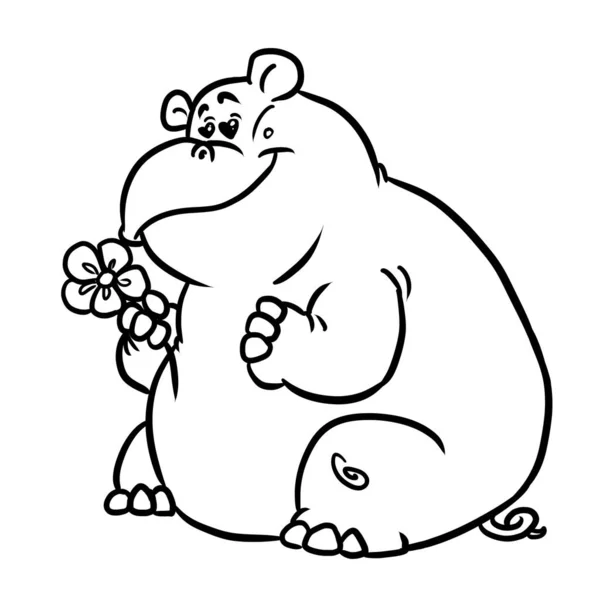 Hipopótamo Gordo Mirando Pequeña Flor Postal Ilustración Imagen Aislada Para —  Fotos de Stock