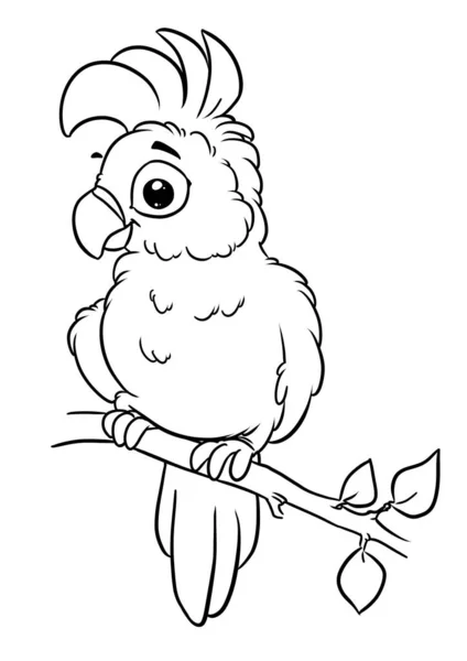 Malý Papoušek Sedí Strom Větev Ilustrace Zbarvení Znaků — Stock fotografie