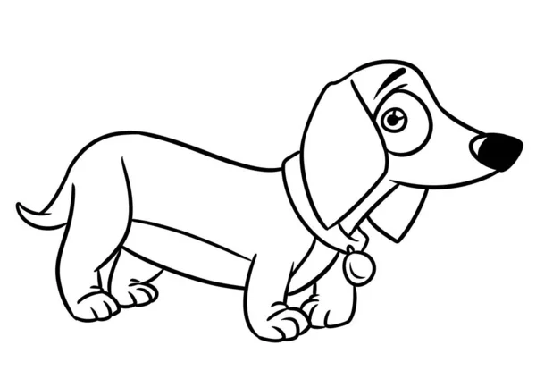 Dachshund Pies Ilustracja Kreskówka Kontur Linia — Zdjęcie stockowe