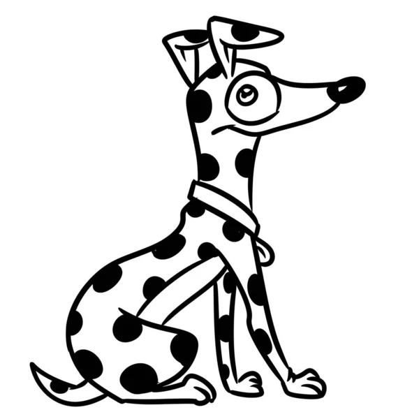 Далматинская Собака Сидя Иллюстрации Мультяшный Контур Линии — стоковое фото