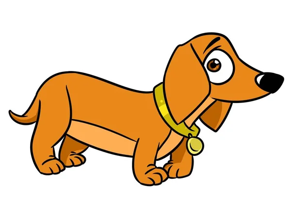 Dachshund Verrassing Hond Illustratie Cartoon — Stockfoto