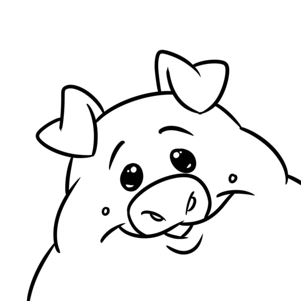 Portrait Pig Animal Character Smile Illustration Cartoon — Stock Photo, Image