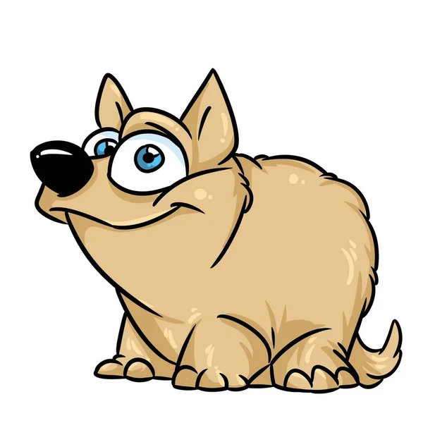Shaggy Päls Hund Djur Illustration Tecknad Karaktär Isolerad — Stockfoto
