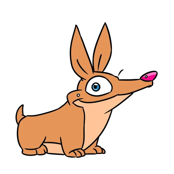 Petit Chien Corgi Animal Illustration Dessin Animé Personnage Isolé — Photo