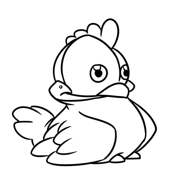 Jenis Karakter Burung Ayam Ilustrasi Kartun Mewarnai Stok Lukisan  